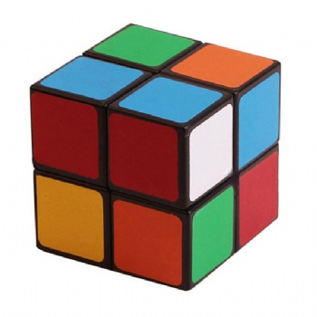 4 Panel Puzzle Cube